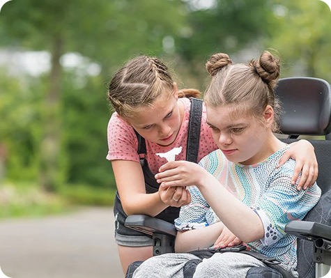 Sibling and Family Dynamics